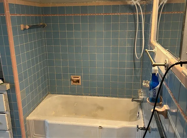 vintage bathtub